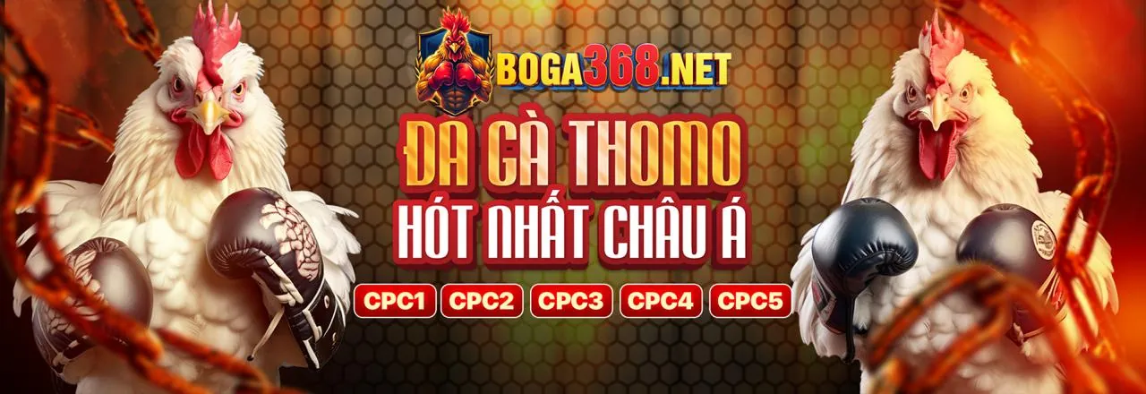 Đá Gà Trực Tuyến Hấp Dẫn Tại 8kbet buzz